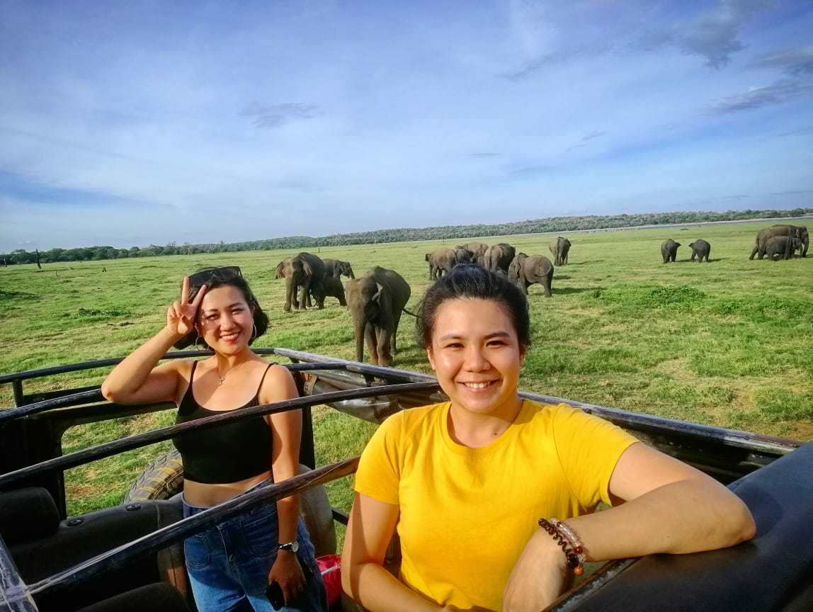 Elephant Interaction